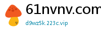 61nvnv.com
